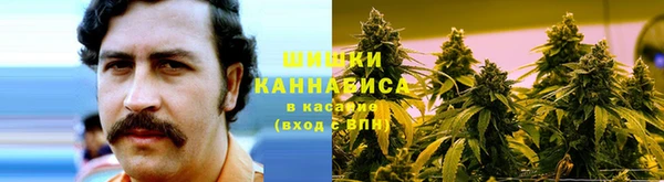 прущие грибы Алексеевка