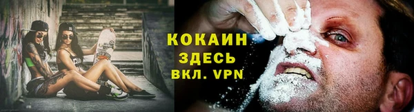 индика Алзамай