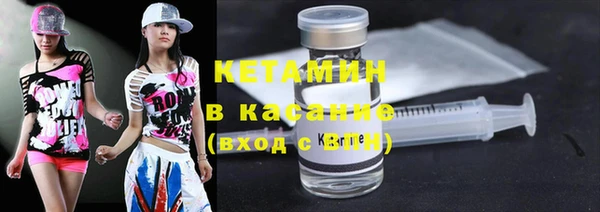 прущие грибы Алексеевка