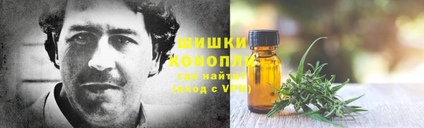 прущие грибы Алексеевка
