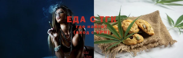 индика Алзамай