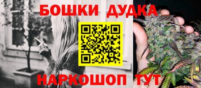 крисы Пыть-Ях